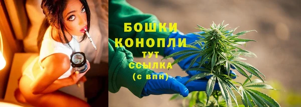 дмт Переславль-Залесский