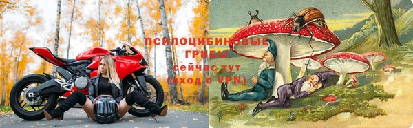 спиды Осташков